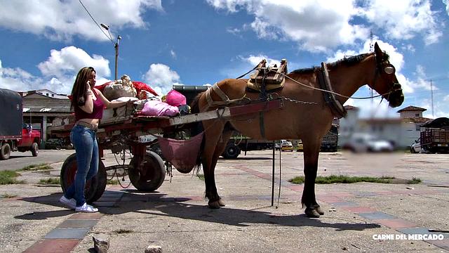 Country Girl Gone Naughty
