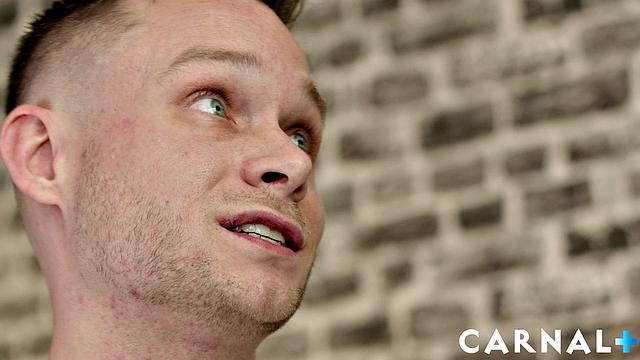 Expectations AMERICANS Vol. 2