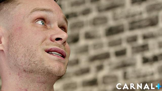 Expectations AMERICANS Vol. 2