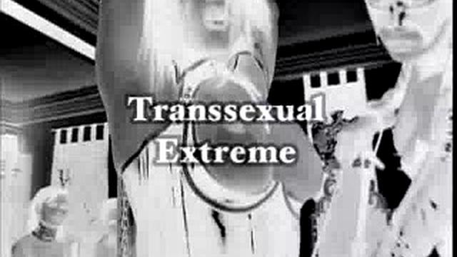 Extreme Transsexual
