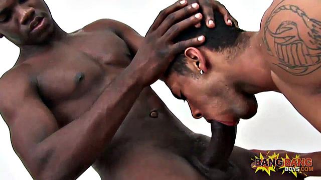 fernando Bangs Sandro Dias