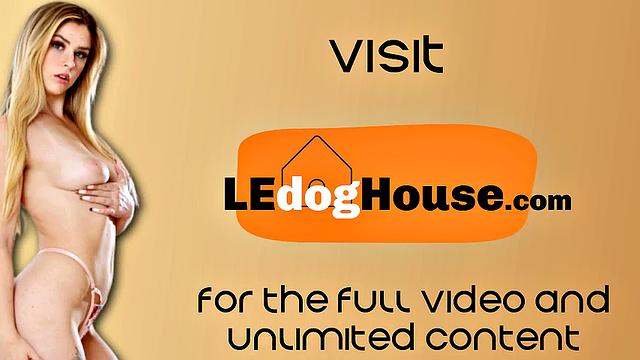 Lesbian bigbooty licking BFF