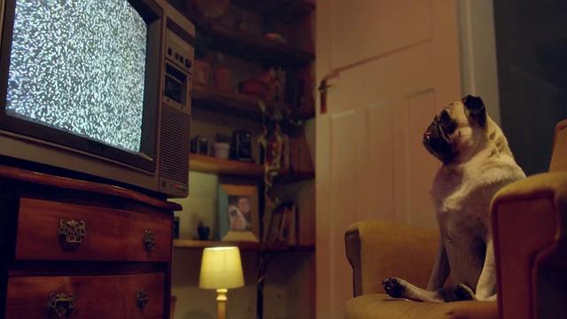 Blake Blossom Vs Hungrylla