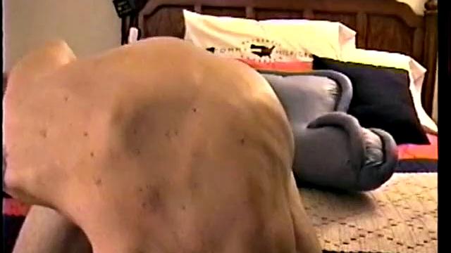 Straight Axel Jacking Off