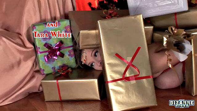 A CHRISTMAS GIFT