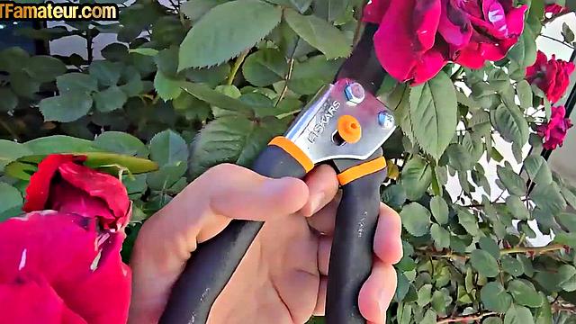 DTF stepmom POV fucked outdoor by stepson