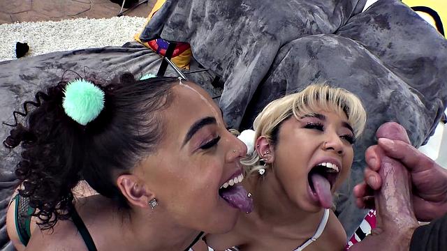 Zerella Gias Connection