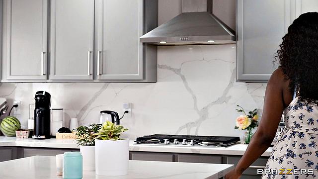 Bored Housewife And Handymen