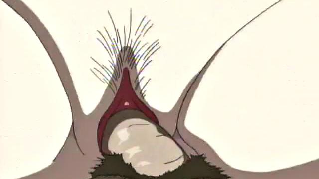 Hot Gangbang with Cute Teen and Double Penetration