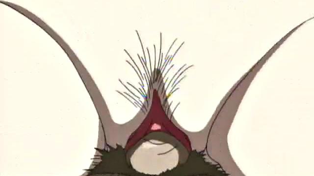 Hot Gangbang with Cute Teen and Double Penetration