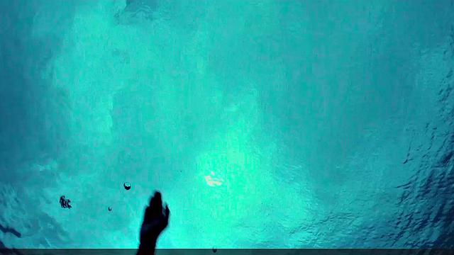 Teresa Palmer gets down and dirty in the sun with her bikini on!