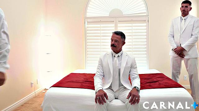 Стажёр Харпер, том 1