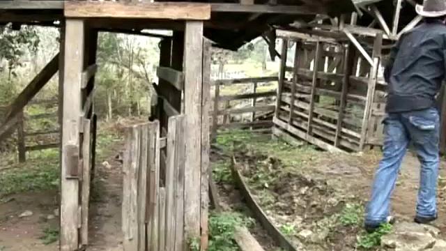 Maurico is busting his Latino ass trying to clean up the weeds behind the corral, and his hired hand Anthony seems to be missing. Maurico goes looking for him, and finds him in the barn jerking off to a magazine.