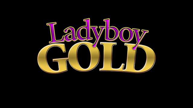 Khawn: Black and Gold Stewardess Creampie