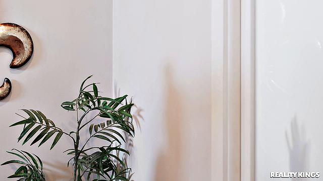 Study Break Piledriver