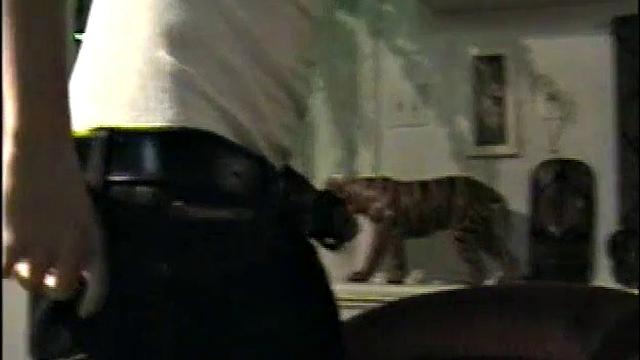 Гей-кореш Cory кайфует от глубокого минета и мощной разрядки от мужика.