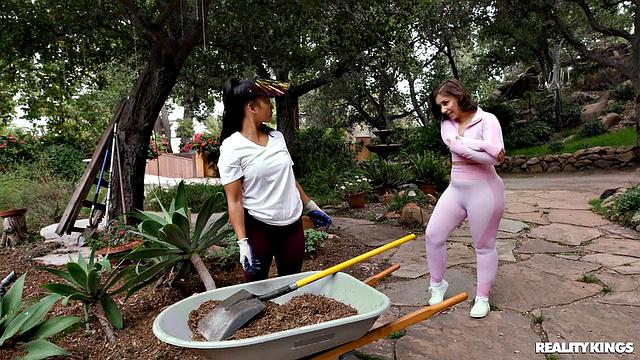 Morning Jog Means Fun