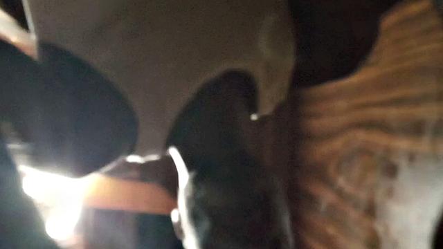 Texas ebony Thot gets naughty in the house - Scene 2