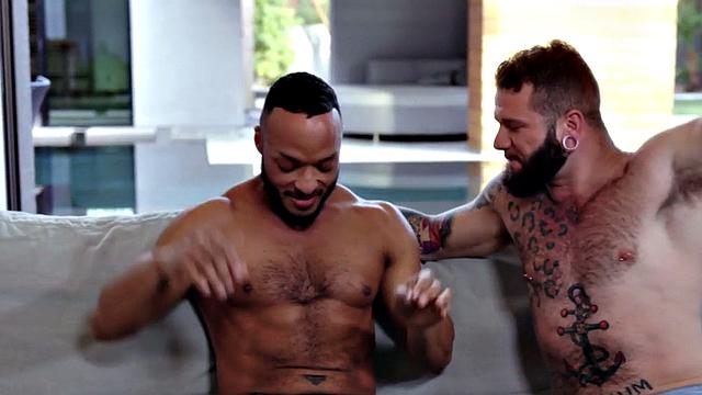 чёрный жеребец распирает белого-орёт не только от кайфа