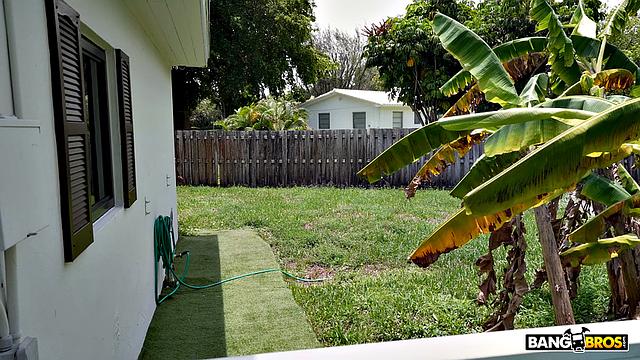 Paying Rent With Tits