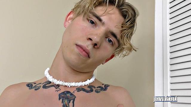 cybin grey teases with more attitude than your ex and twice the stamina