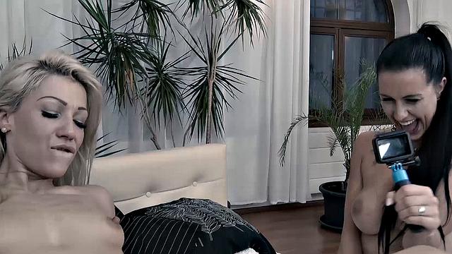 All Your Cocks Are Mine!