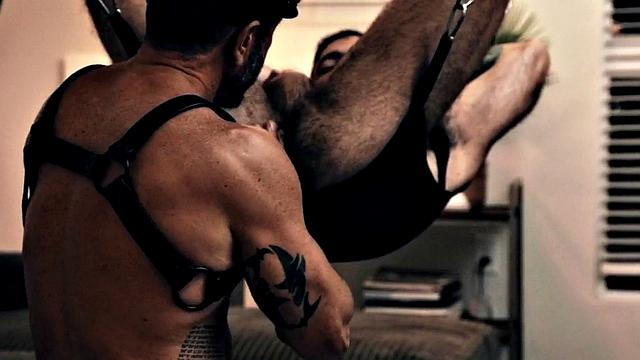 Hairy hunk barebacked by muscled BF after rimming