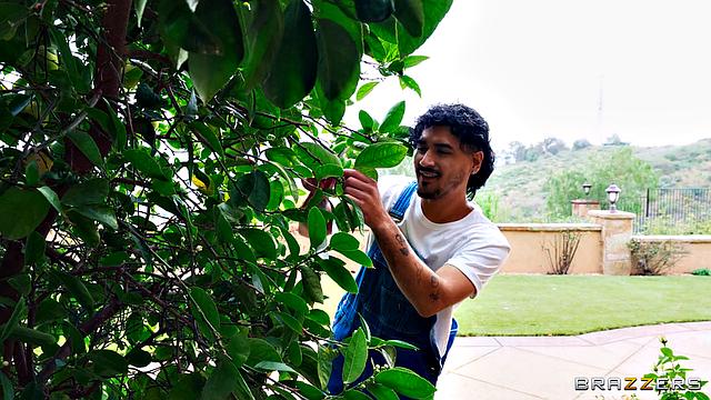 Ass-scaping Horny Housewife