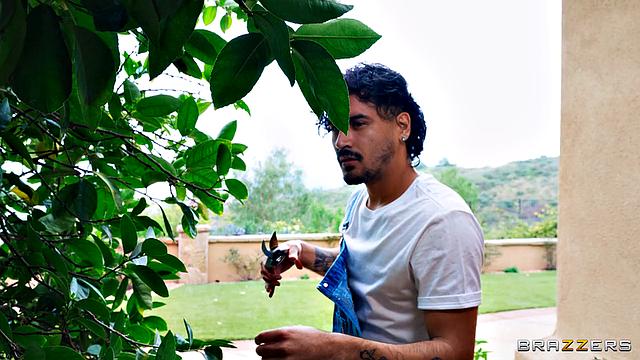 Ass-scaping Horny Housewife