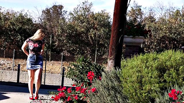 Daisy is back for more