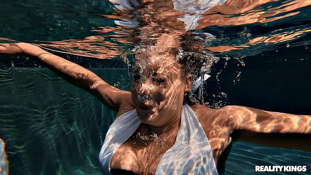 Nosy Neighbor, Hammock Shaker 2