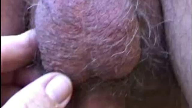 Not really attractive, and a bit pudgy, Robert is a typical guy-next-door. This furry little man is willing to do whatever, and really enjoys butt play. He's a nice guy and would probably do a lot, if the time and situation were right.