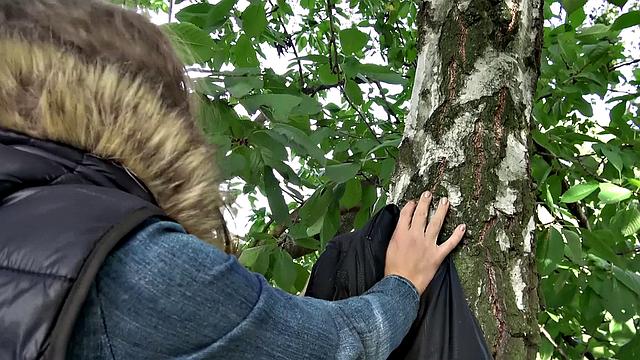 Party babe fucked by the lake