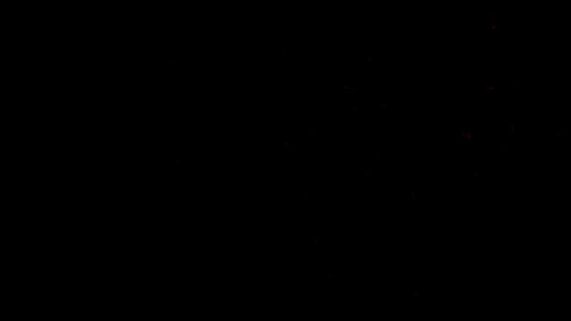 You Got Me Pregnant - S12:E1