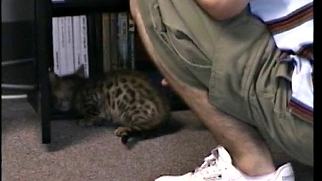 Sucking Straight Boy Paulie