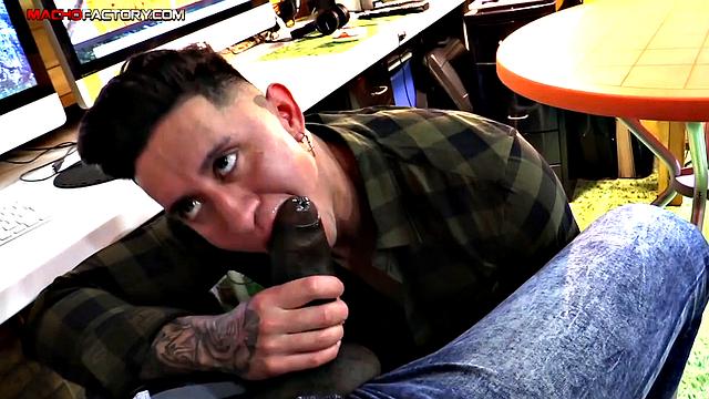 cousin brings his boyfriend over and both get stuffed by a bbc - family dinners will never be the same