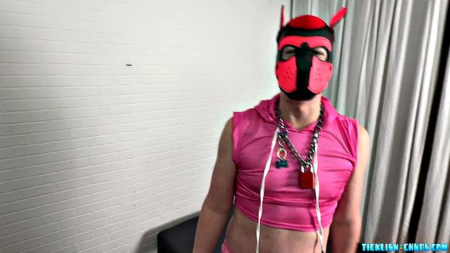 Gogo Dancer Nibbler Gets Tickled - Pup Nibbler & Matt
