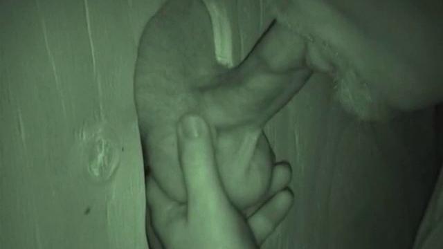 Most of the time, guys hitting the glory hole are into blowing their load fast and then they're out of there. Auntie Bob got a quick glimpse of him, on his way into the public rest room.