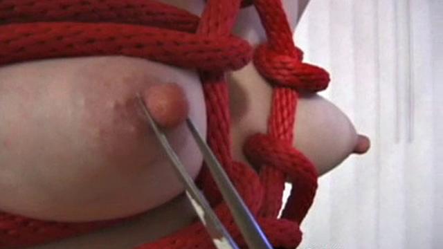 Ultimate Nipple Torment V