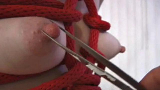 Ultimate Nipple Torment V