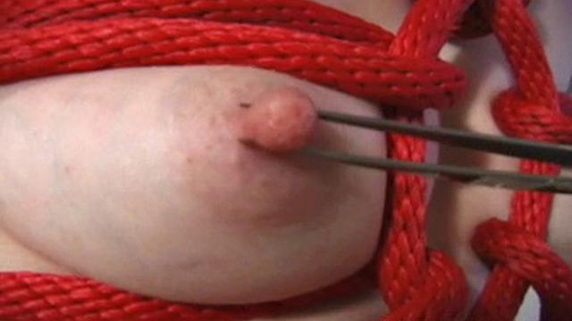 Ultimate Nipple Torment V