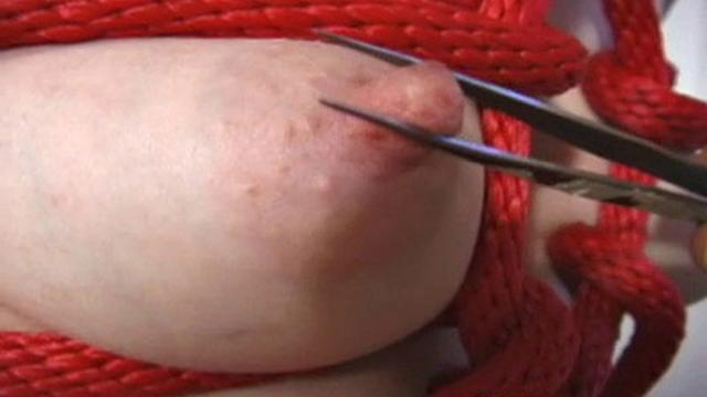 Ultimate Nipple Torment V