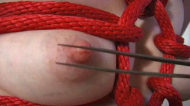 Ultimate Nipple Torment V