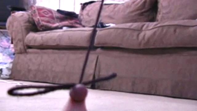 Ultimate Nipple Torment V