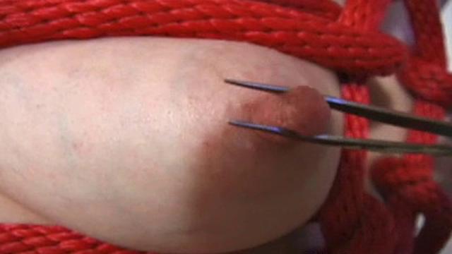 Ultimate Nipple Torment V