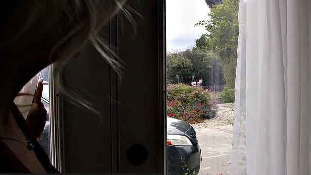 Samantha Jay: Stewardess To Seductress