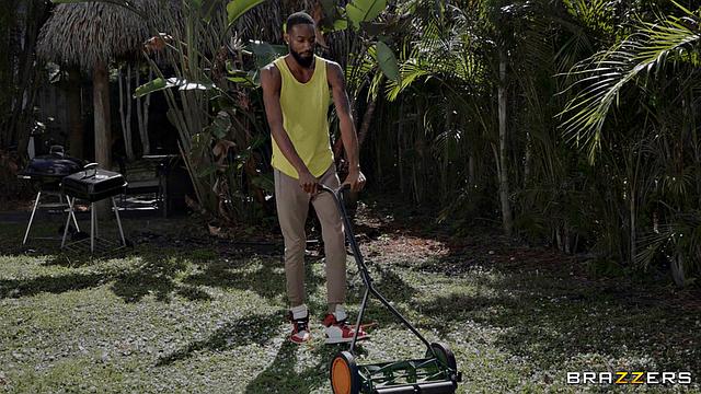 Neighborhood Cougar Competition