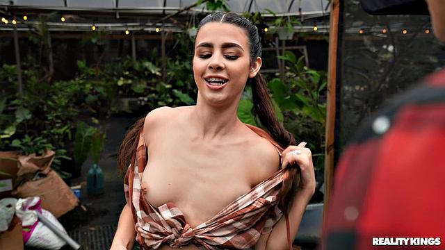 Growing Plants and Cocks