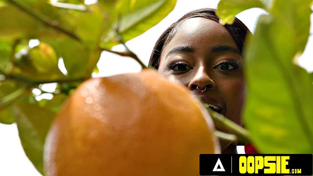 OOPSIE - Naive Destiny Mira Gets Lured Into Barn By Farmer Lola Morena & Scarecrow Ariel Demure