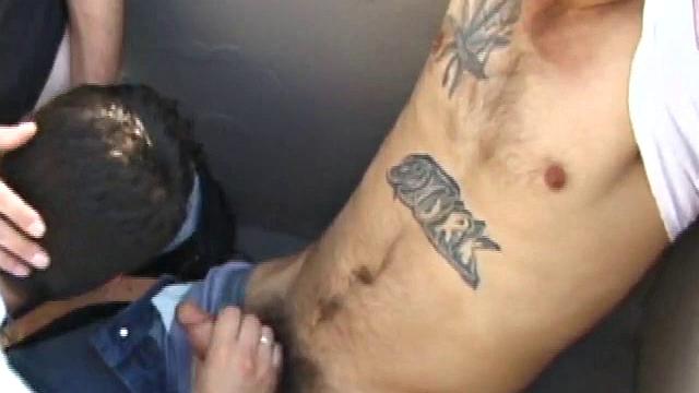 Dillon is a heavily inked street punk and the spark plug of this incredible threesome, though Anthony and Nate more than hold their own. Within the first few minutes, everybody has sucked and stroked the other's cock.